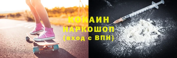 шишки Бородино