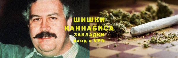 шишки Бородино