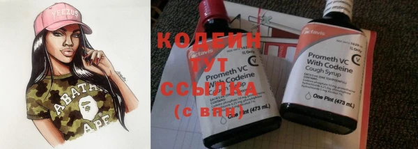 шишки Бородино