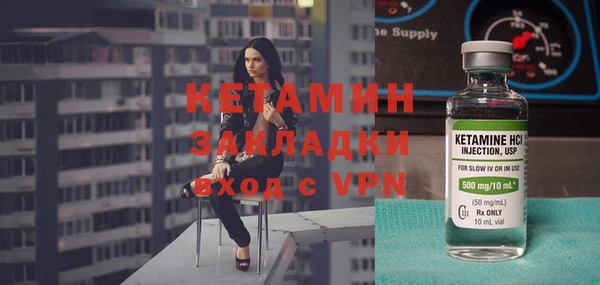 шишки Бородино