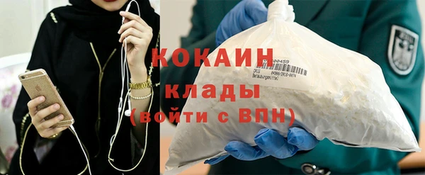шишки Бородино