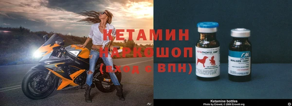 шишки Бородино