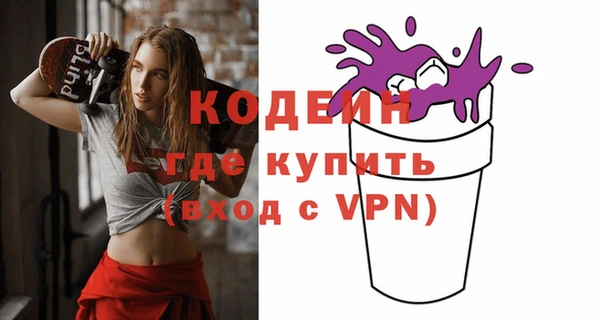 шишки Бородино