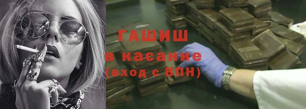 шишки Бородино