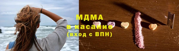 шишки Бородино