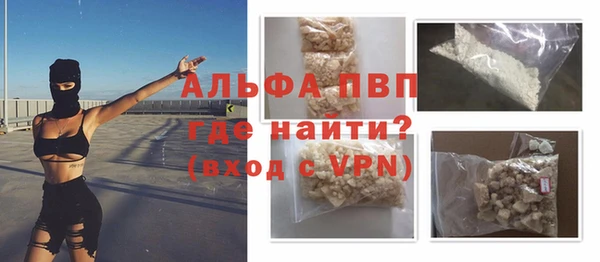 шишки Бородино