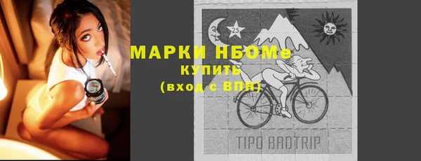 шишки Бородино