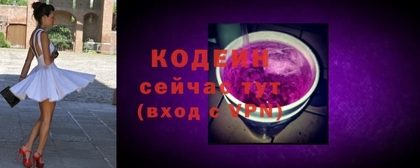 шишки Бородино