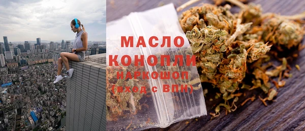 шишки Бородино
