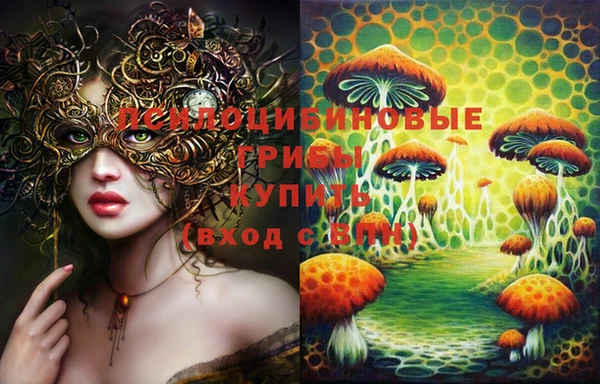 гашик Бугульма