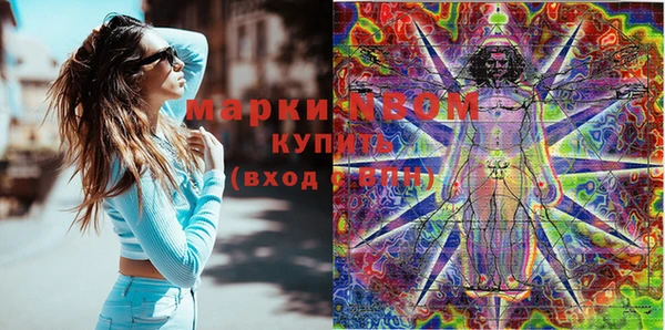 шишки Бородино