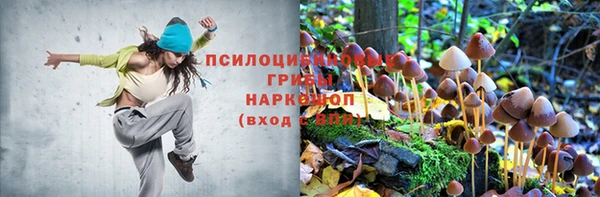 таблы Бронницы