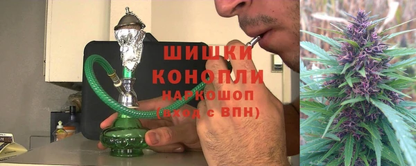 шишки Бородино
