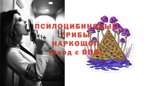 шишки Бородино