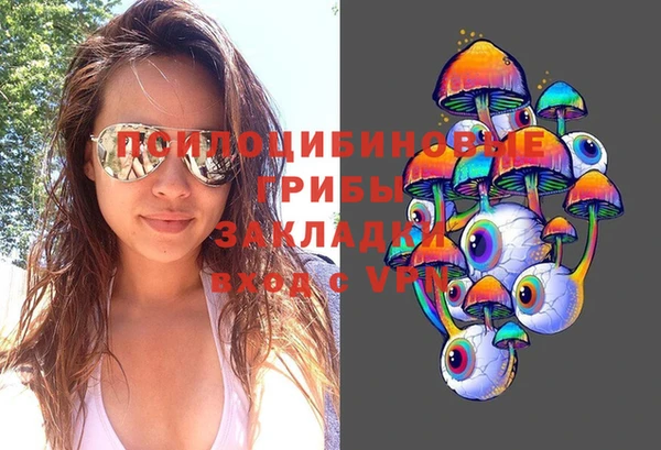 шишки Бородино