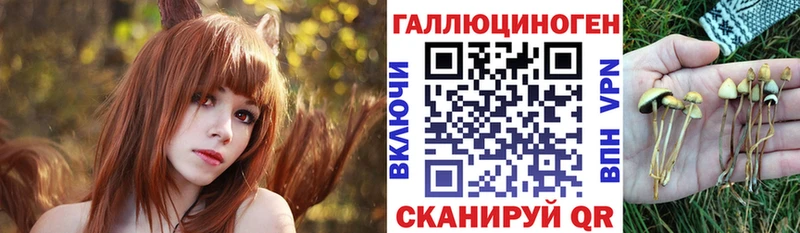 Псилоцибиновые грибы Cubensis  Южно-Сахалинск 